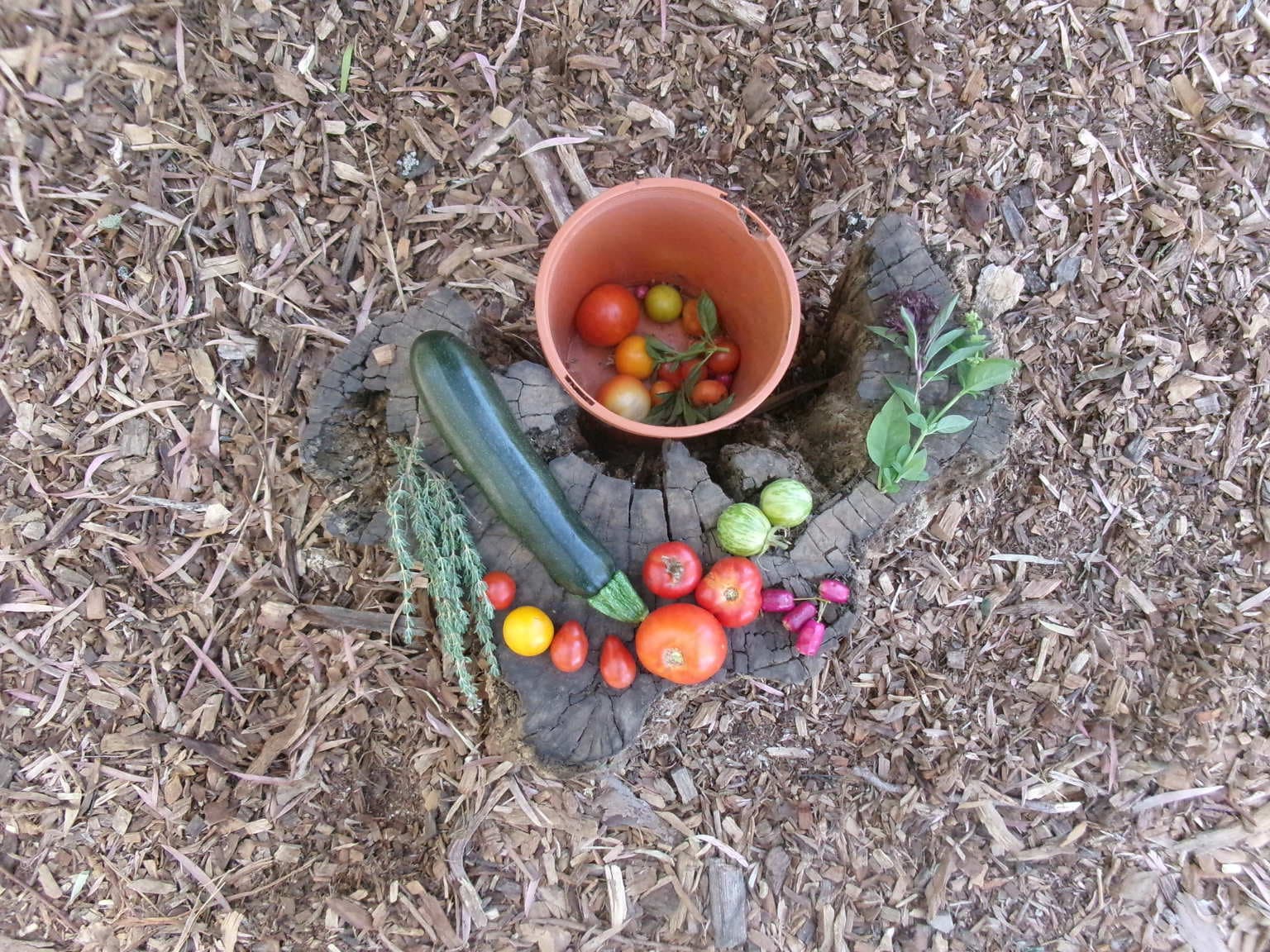 It smells yummy — Permacultura e prima infanzia nella Food Forest